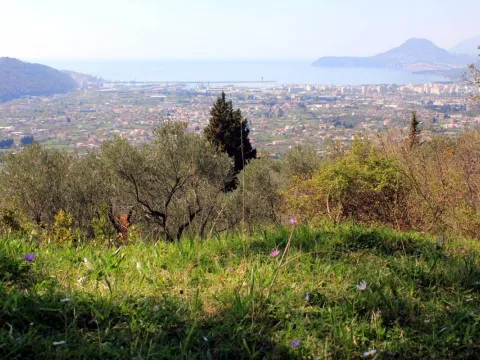 Prodaja, plac, 800m², Bar, Crna Gora - image 4