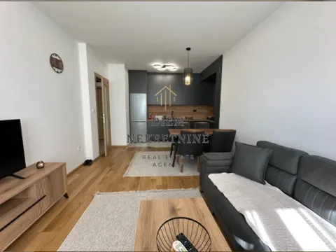 Izdavanje, jednosoban stan, 47m², Podgorica, Crna Gora - image 9