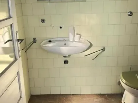 Sale, house, 354m², Uzdin, Kovačica - image 22