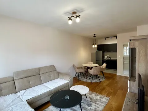 Izdavanje, jednosoban stan, 49m², Central Point, Podgorica - image 4