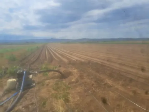 Prodaja, plac, 27500m², Futog, Novi Sad Sve Podlokacije - image 4