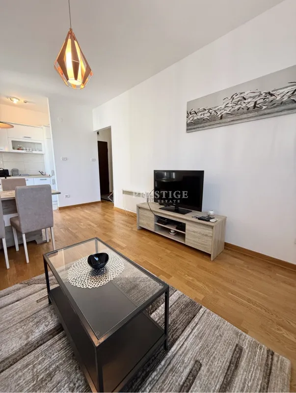 Rent, one bedroom apartment, 45m², City Kvart, Podgorica