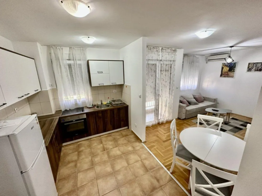 Rent, one bedroom apartment, 42m², Zagorič, Podgorica