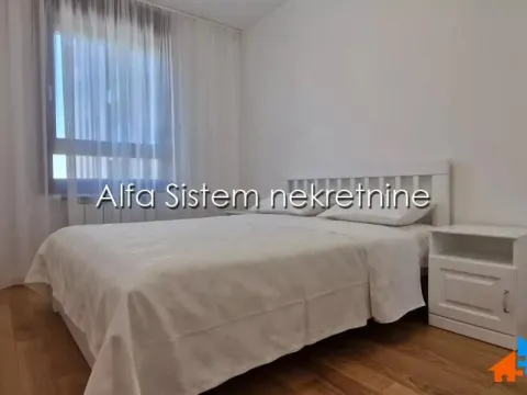 Izdavanje, dvosoban stan, 50m², Novi Beograd Blok 63, Novi Beograd Sve Podlokacije - image 9