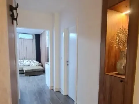 Izdavanje, dvosoban stan, 50m², Novi Beograd Sve Podlokacije, Beograd - image 14