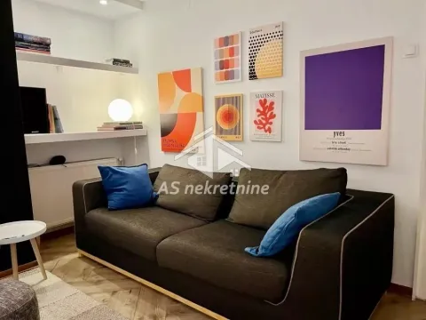 Izdavanje, dvosoban stan, 60m², Novi Beograd Sve Podlokacije, Beograd - image 2