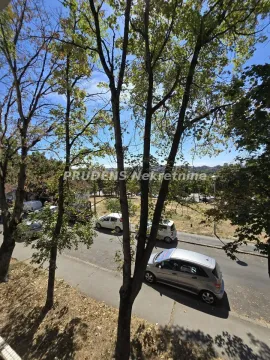 Pogled sa prozora na ulicu, park i drveće. - image 14