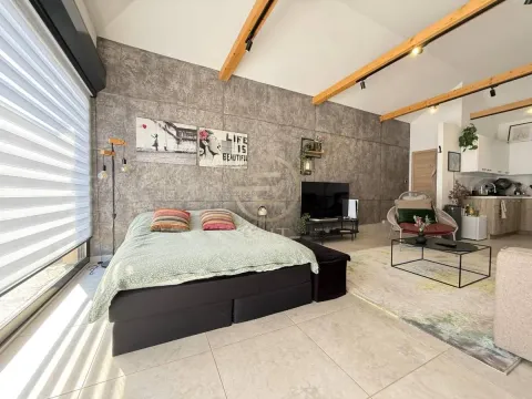 Sale, house, 165m², Petrovaradin, Novi Sad - image 60