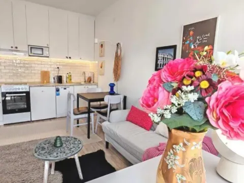 Rent, two bedroom apartment, 40m², Stari Grad, Beograd - image 9