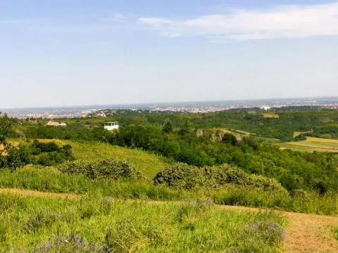 Prodaja, plac, 5600m², Novi Sad, Srbija - image 6