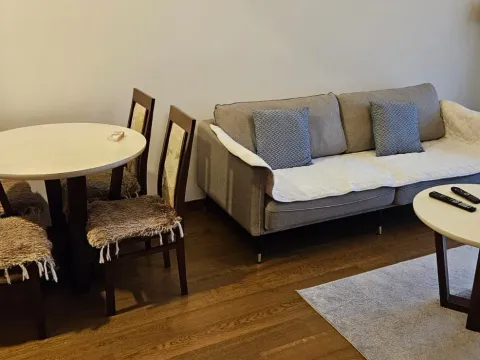 Izdavanje, jednosoban stan, 48m², Stara Varoš, Podgorica - image 13