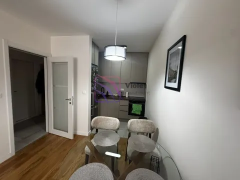 Rent, one bedroom apartment, 47m², Central Point, Podgorica - image 37