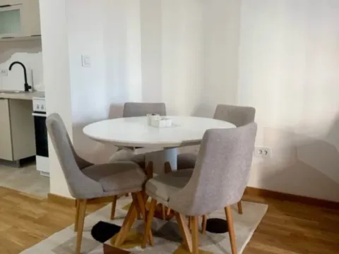 Izdavanje, jednosoban stan, 46m², Stari Aerodrom, Podgorica - image 5