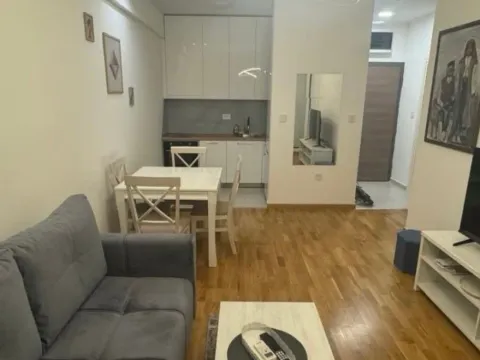Izdavanje, jednosoban stan, 40m², Zabjelo, Podgorica - image 3