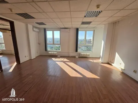 Izdavanje, poslovni prostor, 210m², Botanička Bašta, Palilula Sve Podlokacije - image 3