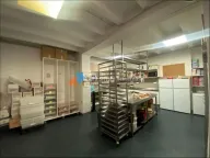 Izdavanje, poslovni prostor, 106m², Vračar Sve Podlokacije, Beograd - image 5