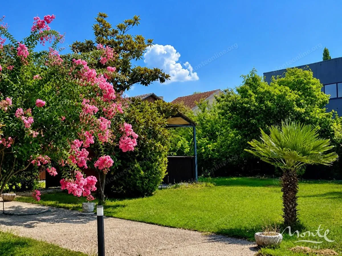 Landscaped courtyard with a lawn, trees, and flowers.