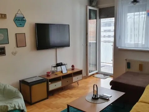 Rent, one bedroom apartment, 47m², Podbara, Novi Sad Sve Podlokacije - image 2