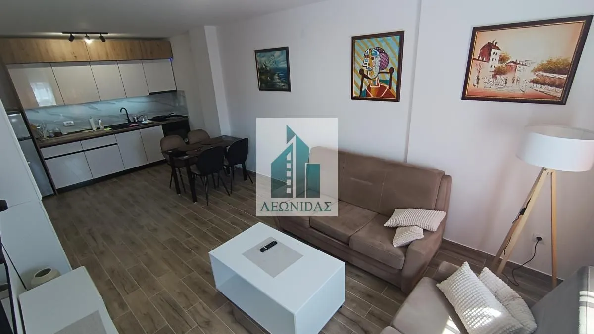 Rent, one bedroom apartment, 51m², Pantelej, Niš