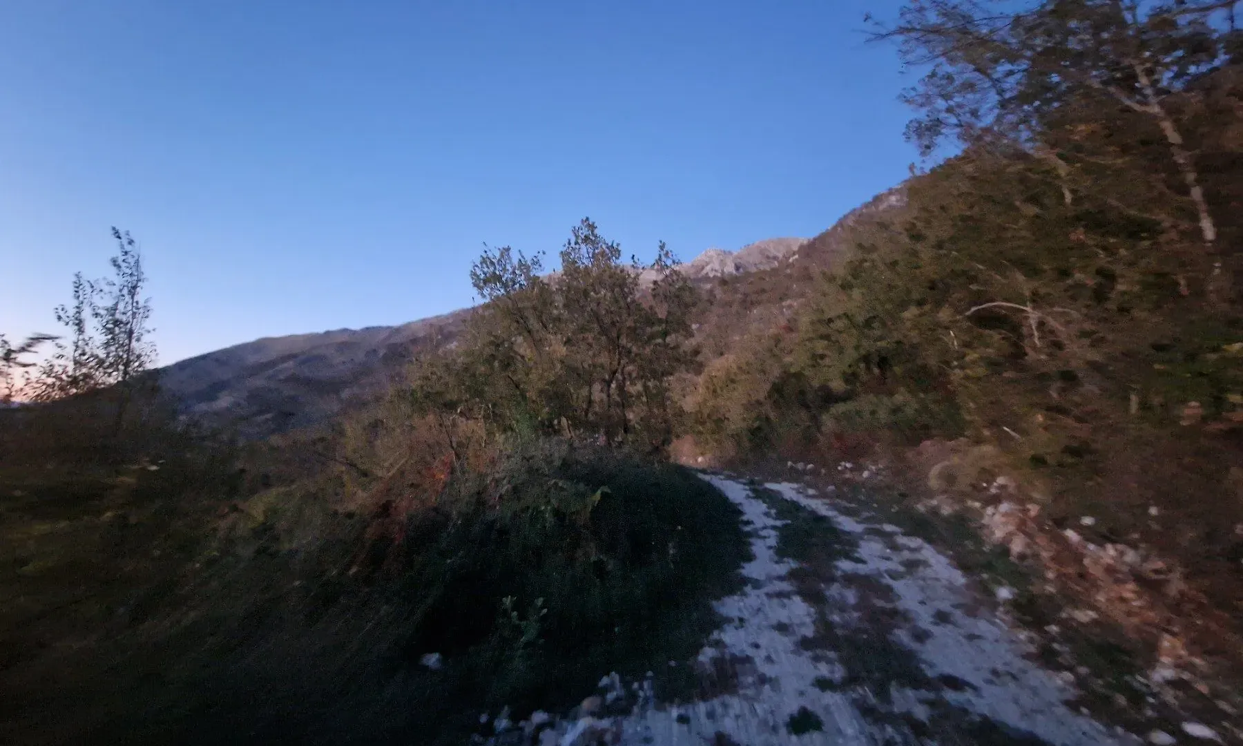 Prodaja, plac, 42305m², Njeguši, Cetinje