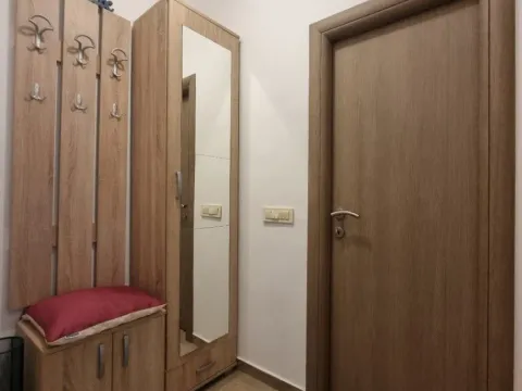 Izdavanje, jednosoban stan, 40m², Autobuska stanica, Podgorica - image 11