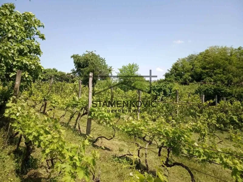 Prodaja, kuća, 30m², Berkasovo, Šid