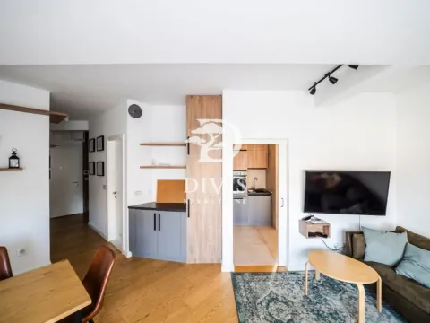 Izdavanje, dvosoban stan, 49m², Vračar Hram, Vračar Sve Podlokacije - image 4