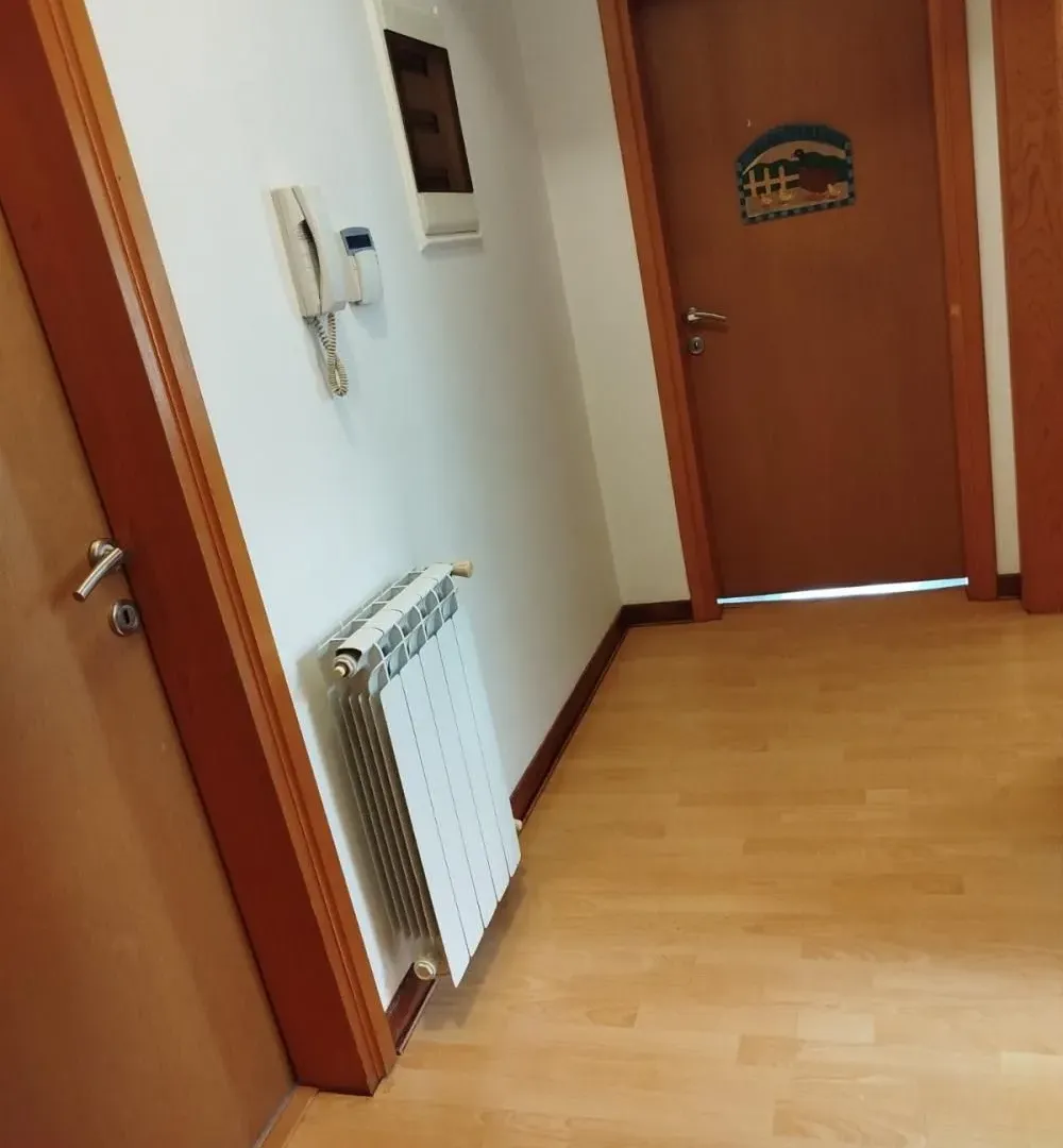 Rent, house, 250m², Olimp, Zvezdara Sve Podlokacije