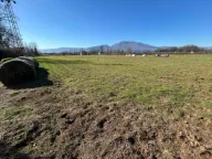 Prodaja, plac, 7970m², Martinići, Danilovgrad - image 4