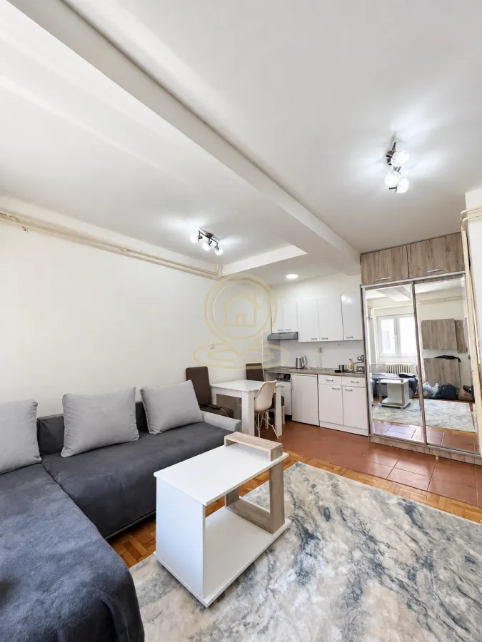 Living room with a sofa, coffee table, and a built-in kitchen in the corner.