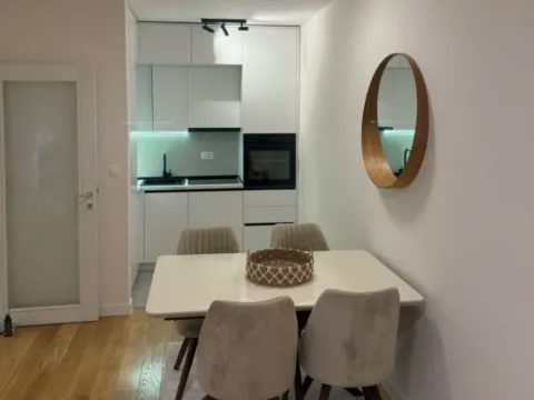 Izdavanje, jednosoban stan, 47m², Central Point, Podgorica - image 3