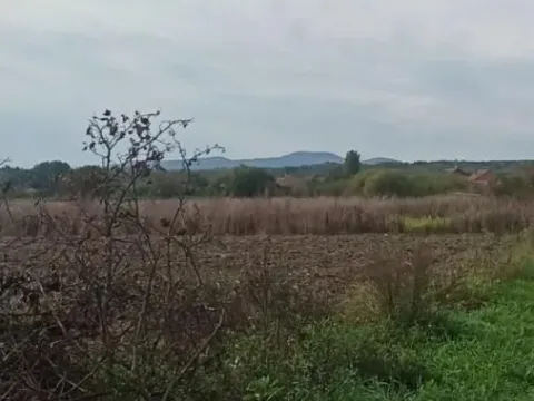 Prodaja, plac, 597m², Jagodina, Srbija - image 9