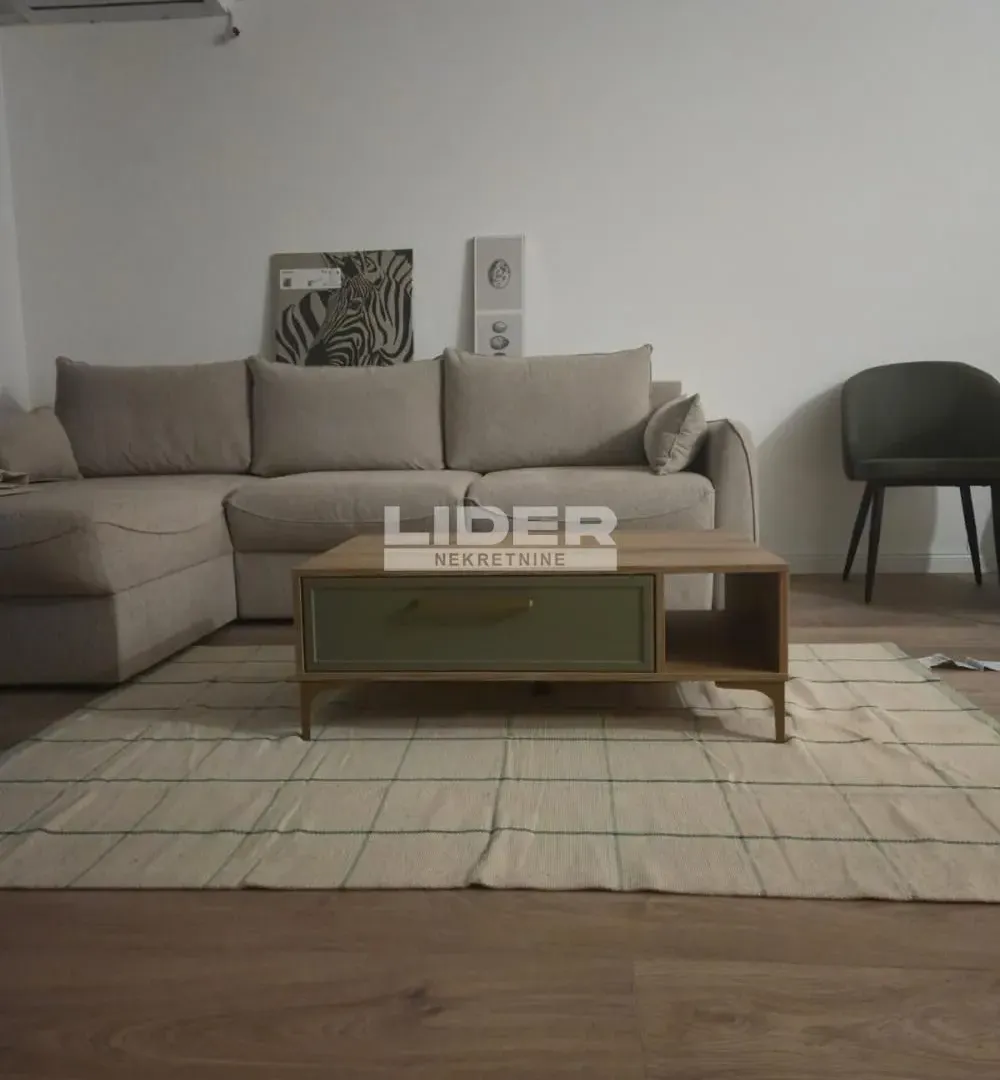 Rent, two bedroom apartment, 40m², Južni Bulevar, Vračar Sve Podlokacije