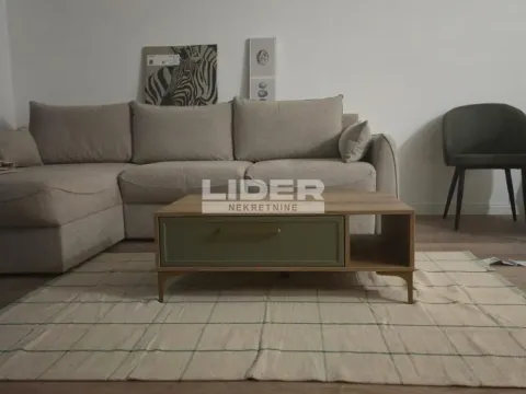 Izdavanje, dvosoban stan, 40m², Južni Bulevar, Vračar Sve Podlokacije - image 3