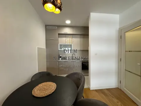 Izdavanje, jednosoban stan, 46m², Central Point, Podgorica - image 13