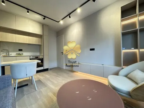 Izdavanje, jednosoban stan, 45m², Preko Morače, Podgorica - image 3