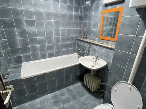 Izdavanje, jednosoban stan, 56m², Detelinara, Novi Sad Sve Podlokacije - image 6