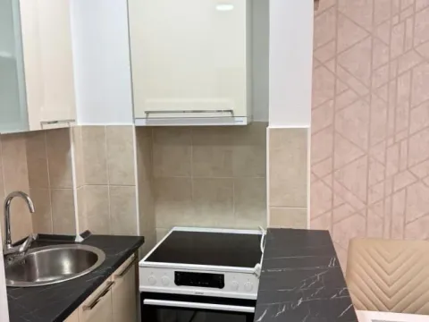 Rent, two bedroom apartment, 50m², Grbavica, Novi Sad Sve Podlokacije - image 6