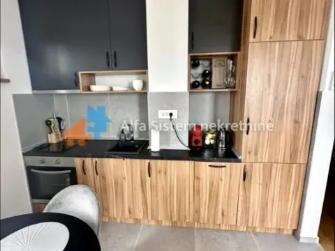 Izdavanje, stan, 40m², Zvezdara Sve Podlokacije, Beograd - image 3