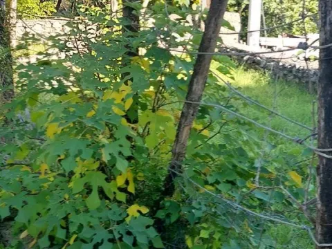 Prodaja, kuća, 180m², Novo Selo, Danilovgrad - image 5