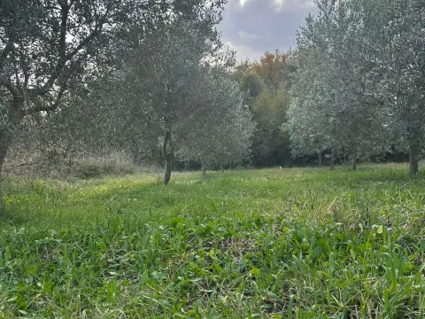 Prodaja, plac, 6000m², Ulcinj, Crna Gora - image 5