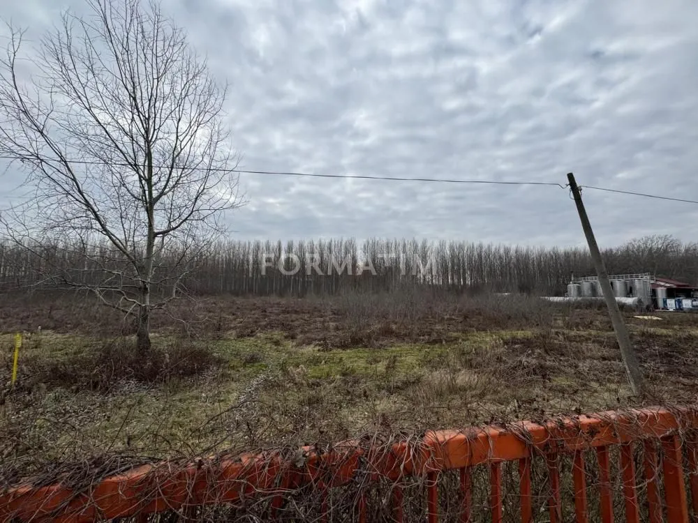 Prodaja, plac, 6300m², Krnjaca, Palilula Sve Podlokacije