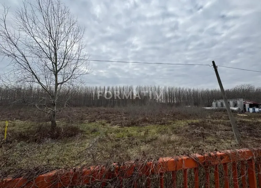 Prodaja, plac, 6300m², Krnjaca, Palilula Sve Podlokacije