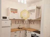 Izdavanje, jednosoban stan, 43m², Central Point, Podgorica - image 2