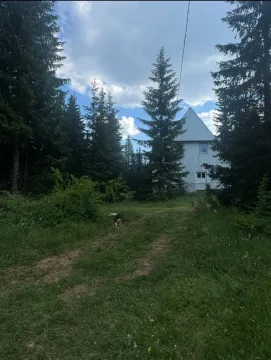 Bijela kuća okružena četinarskom šumom i prirodom. - image 7