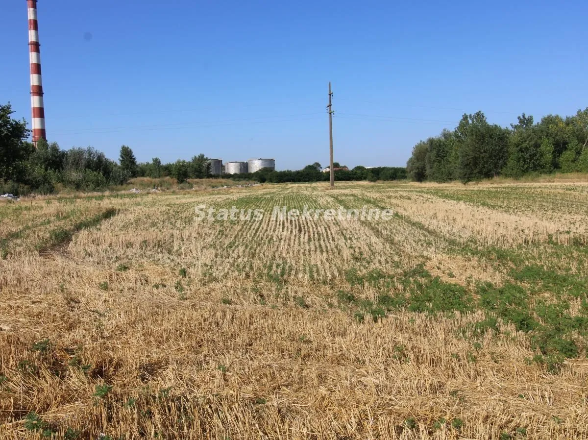 Sale, land lot, 6396m², Šangaj, Novi Sad Sve Podlokacije