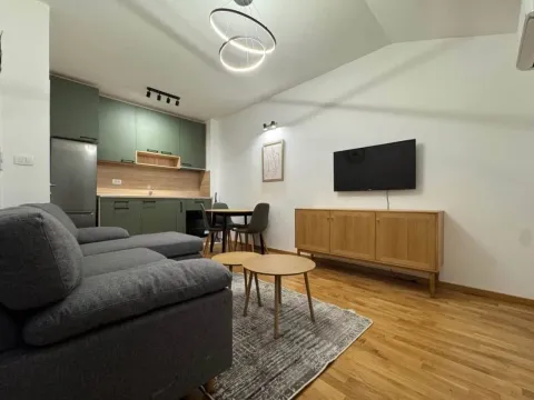 Izdavanje, jednosoban stan, 38m², Zagorič, Podgorica - image 2