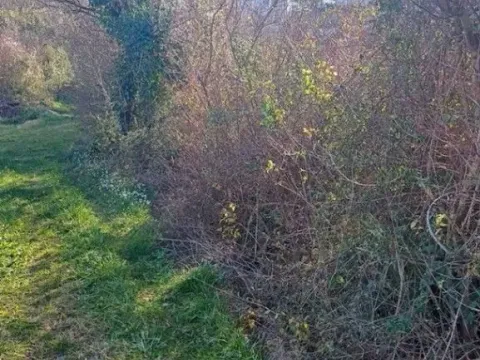 Prodaja, plac, 500m², Djerane, Ulcinj - image 4