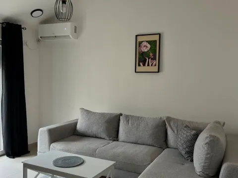 Rent, one bedroom apartment, 45m², Zagorič, Podgorica - image 12