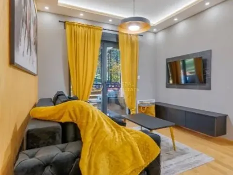 Prodaja, dvosoban stan, 45m², Zlatibor, Srbija - image 4